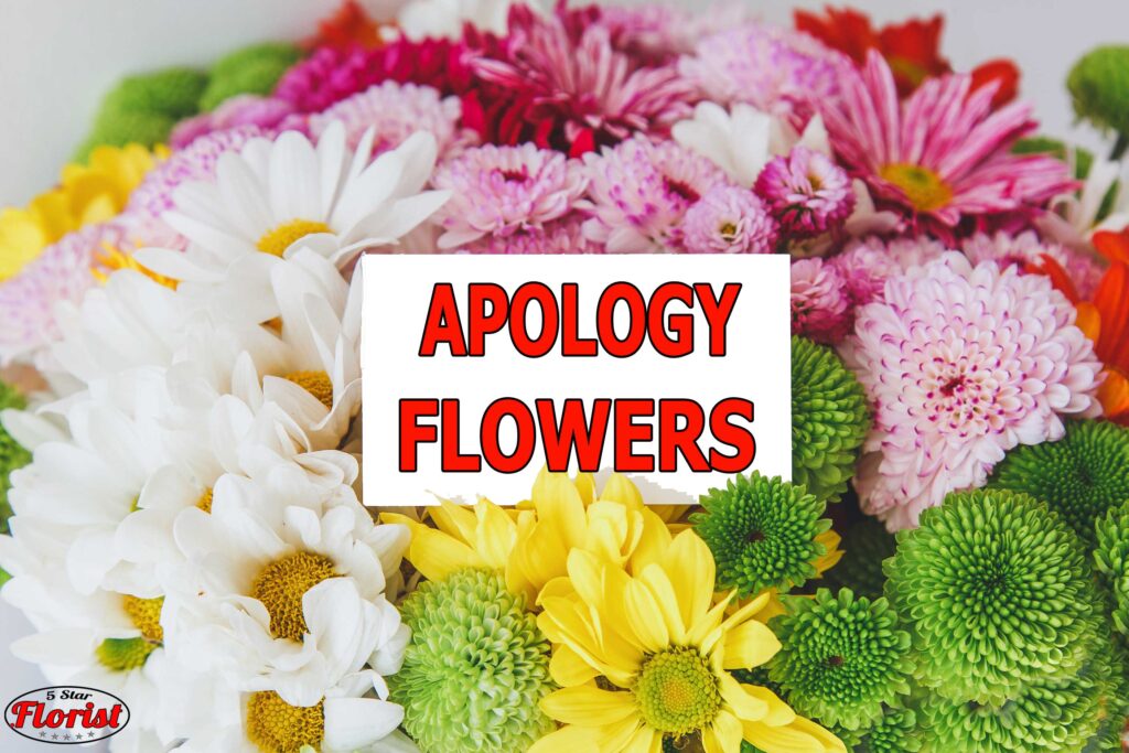 apology flowers punta gorda