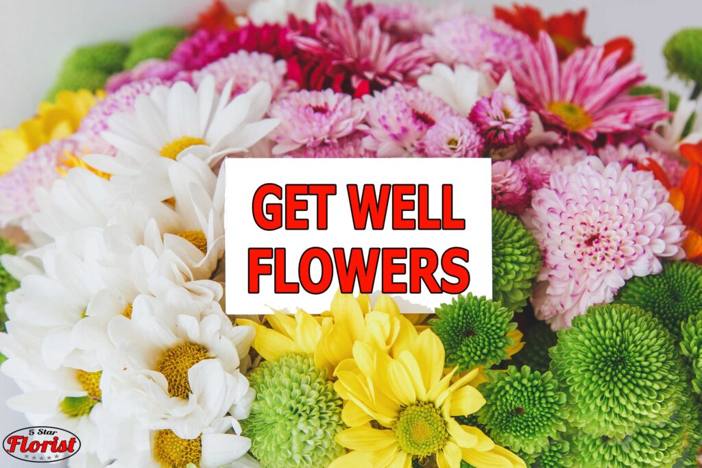 get well flowers north-port