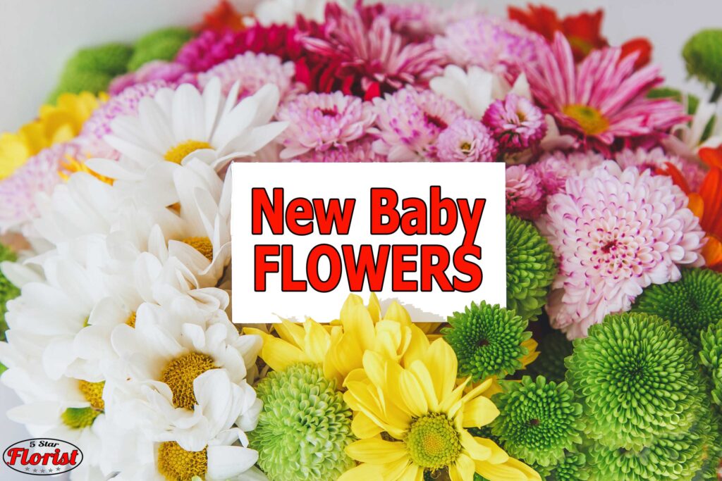 new baby flowers north-port