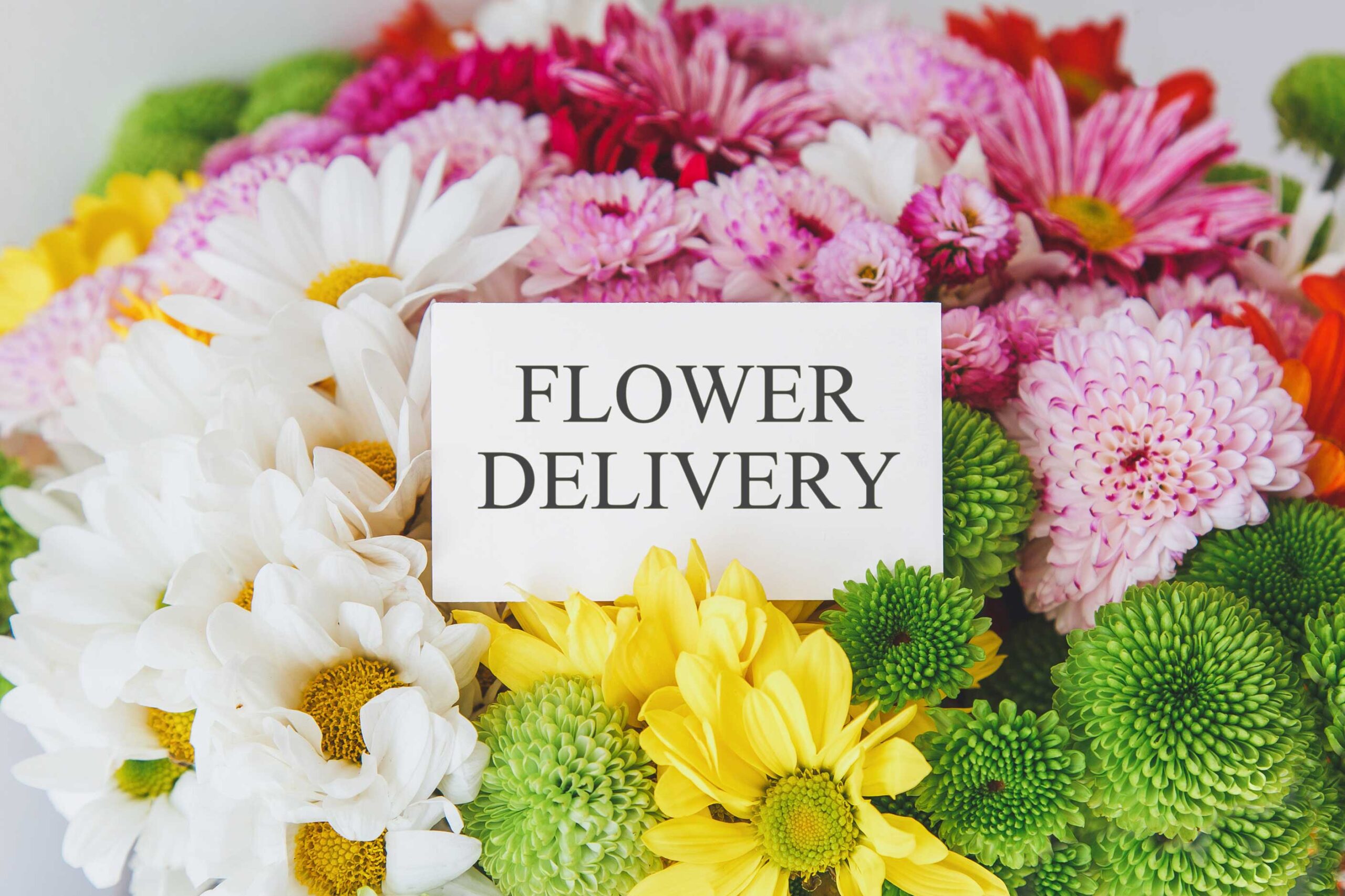 same-day-flower-delivery-north-port